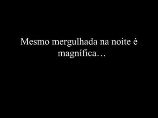 Mesmo mergulhada na noite é magnífica… 