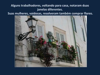 Alguns trabalhadores, voltando para casa, notaram duas
janelas diferentes.
Suas mulheres, vaidosas, resolveram também comprar flores.
 