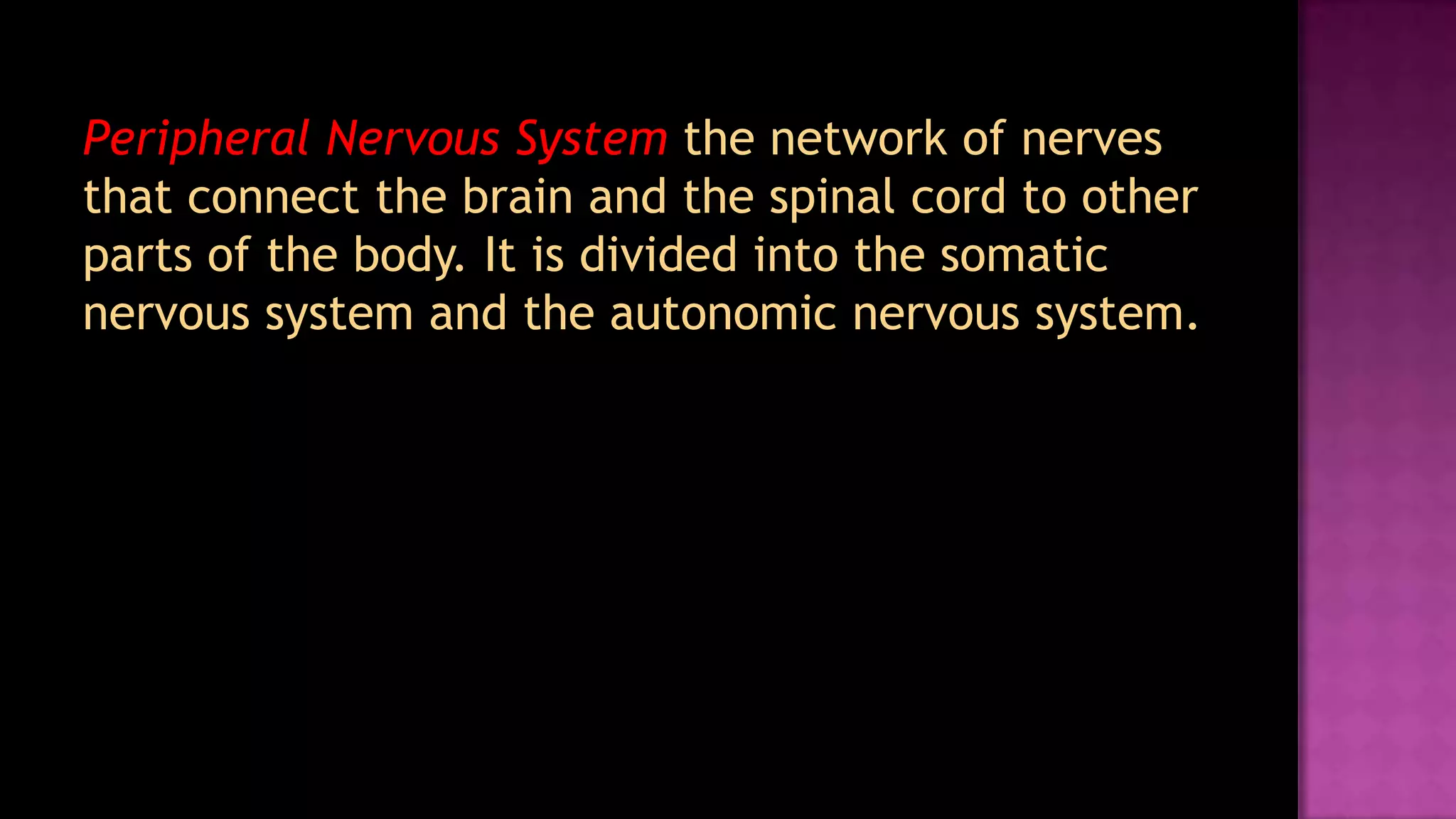 Peripheral Nervous Systemthe network of nerves that connect the brain and the spinal cord to other parts of the body. It is divided into the somatic nervous system and the autonomic nervous system.