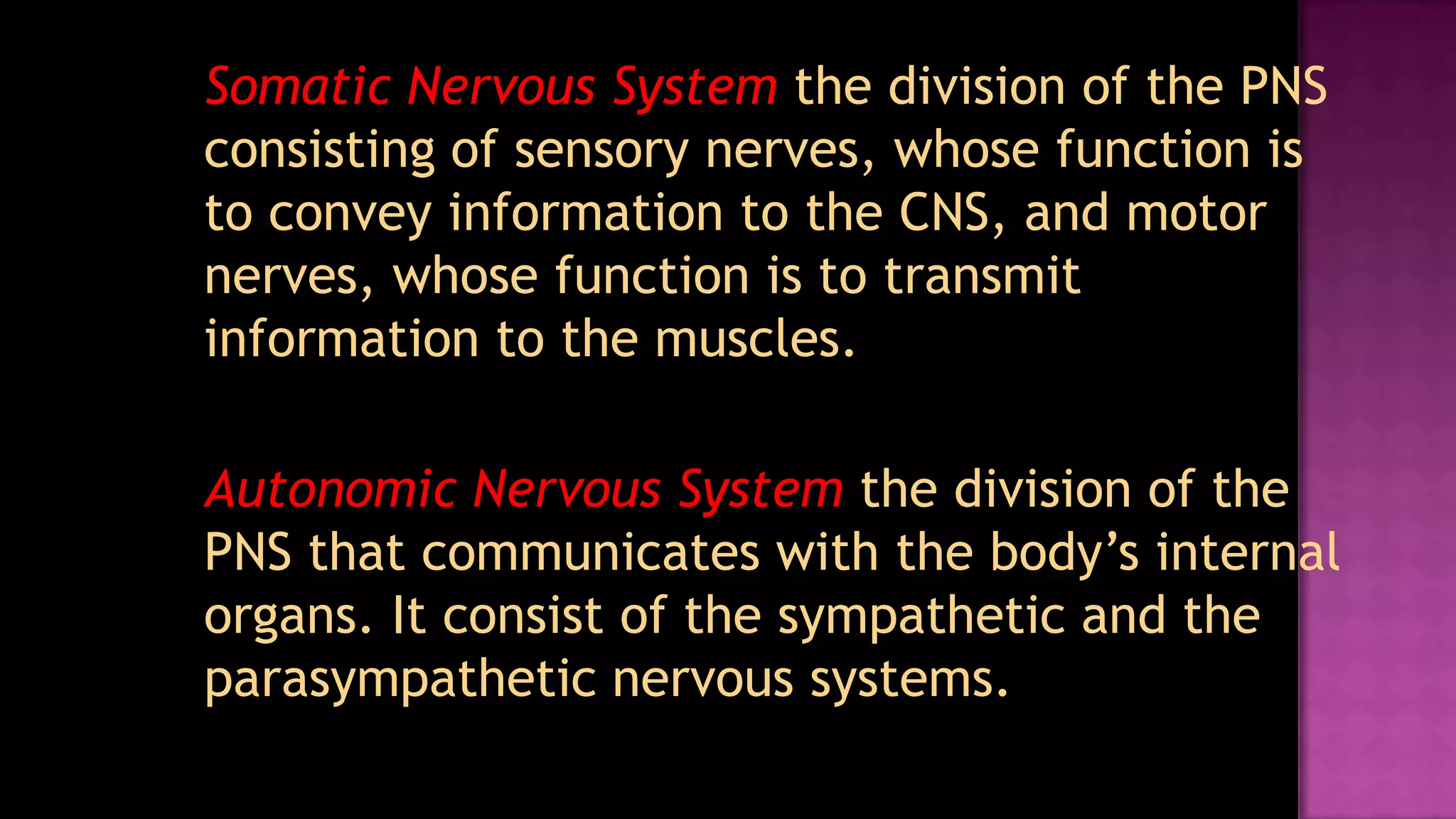 Somatic Nervous Systemthe division of the PNS consisting of sensory nerves, whose function is to convey information to the CNS, and motor nerves, whose function is to transmit information to the muscles.Autonomic Nervous Systemthe division of the PNS that communicates with the body’s internal organs. It consist of the sympathetic and the parasympathetic nervous systems.