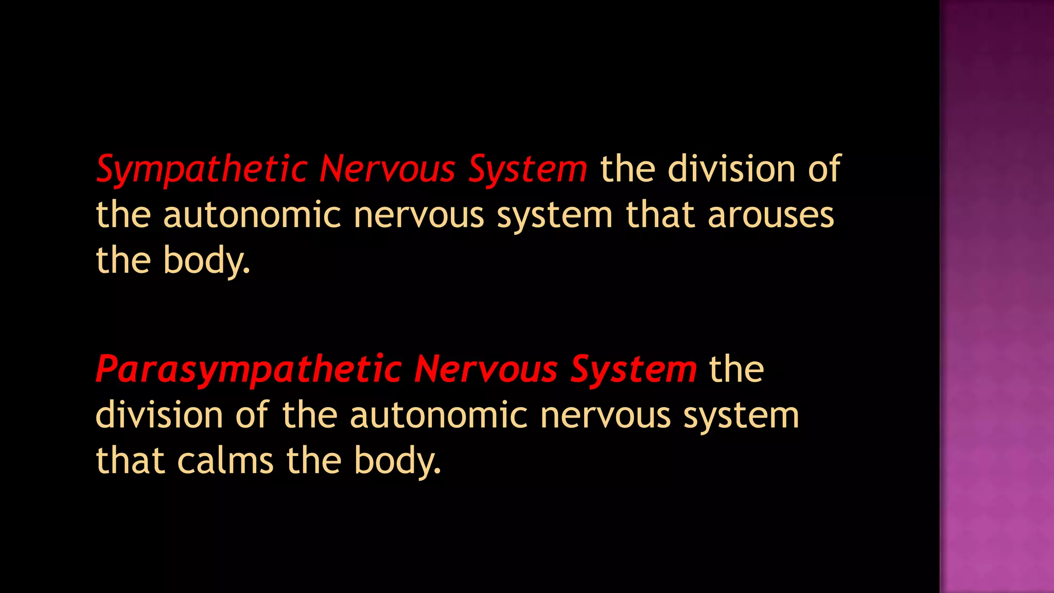 Sympathetic Nervous Systemthe division of the autonomic nervous system that arouses the body.Parasympathetic Nervous Systemthe division of the autonomic nervous system that calms the body.