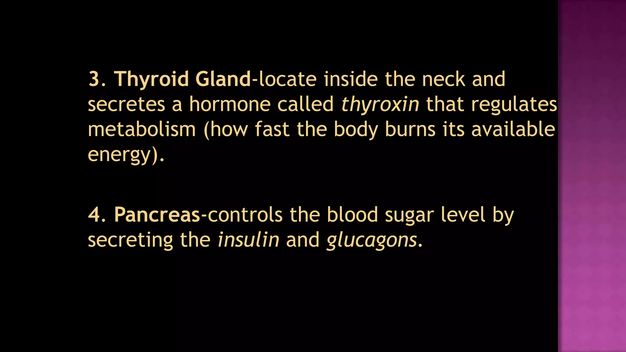 	3. Thyroid Gland-locate inside the neck and secretes a hormone called thyroxin that regulates metabolism (how fast the body burns its available energy).	4. Pancreas-controls the blood sugar level by secreting the insulin and glucagons.