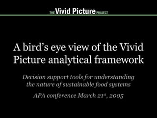 A bird's eye view of the Vivid Picture analytical framework