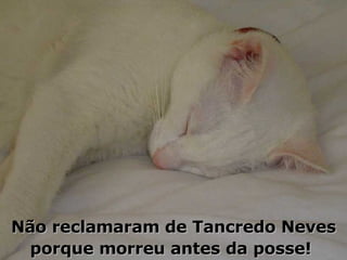 Não reclamaram de Tancredo Neves porque morreu antes da posse!  