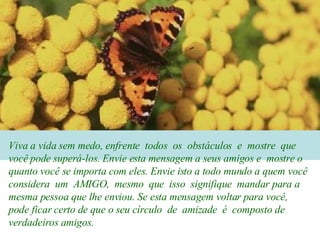 Viva a vida sem medo, enfrente  todos  os  obstáculos  e  mostre  que você pode superá-los. Envie esta mensagem a seus amigos e  mostre o quanto você se importa com eles. Envie isto a todo mundo a quem você considera  um  AMIGO,  mesmo  que  isso  signifique  mandar para a mesma pessoa que lhe enviou. Se esta mensagem voltar para você, pode ficar certo de que o seu círculo  de  amizade  é  composto de verdadeiros amigos. 
