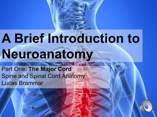 A Brief Introduction to
Neuroanatomy
Part One: The Major Cord
Spine and Spinal Cord Anatomy
Lucas Brammar
 
