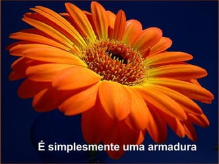 É simplesmente uma armadura