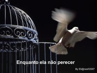 Enquanto ela não perecer  By Eli@nesf/2007 