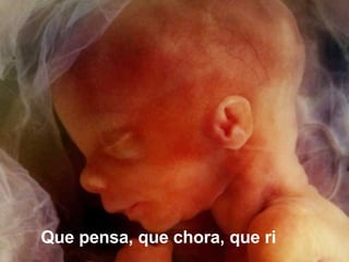 Ria slides Que pensa, que chora, que ri