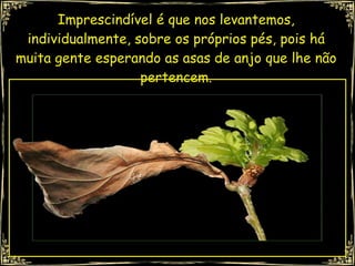 Imprescindível é que nos levantemos, individualmente, sobre os próprios pés, pois há muita gente esperando as asas de anjo que lhe não pertencem. 