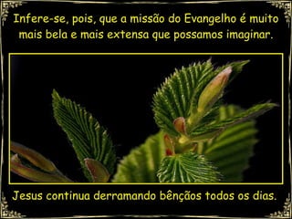Infere-se, pois, que a missão do Evangelho é muito mais bela e mais extensa que possamos imaginar. Jesus continua derramando bênçãos todos os dias. 