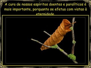 A cura de nossos espíritos doentes e paralíticos é mais importante, porquanto se efetua com vistas à eternidade. 