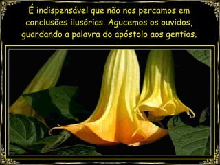 É indispensável que não nos percamos em conclusões ilusórias. Agucemos os ouvidos, guardando a palavra do apóstolo aos gentios. 