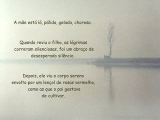 A mãe está lá, pálida, gelada, chorosa.  Quando reviu o filho, as lágrimas  correram silenciosas, foi um abraço de desesperado silêncio.  Depois, ele viu o corpo sereno envolto por um lençol de rosas vermelho,   como as que o pai gostava  de cultivar. 
