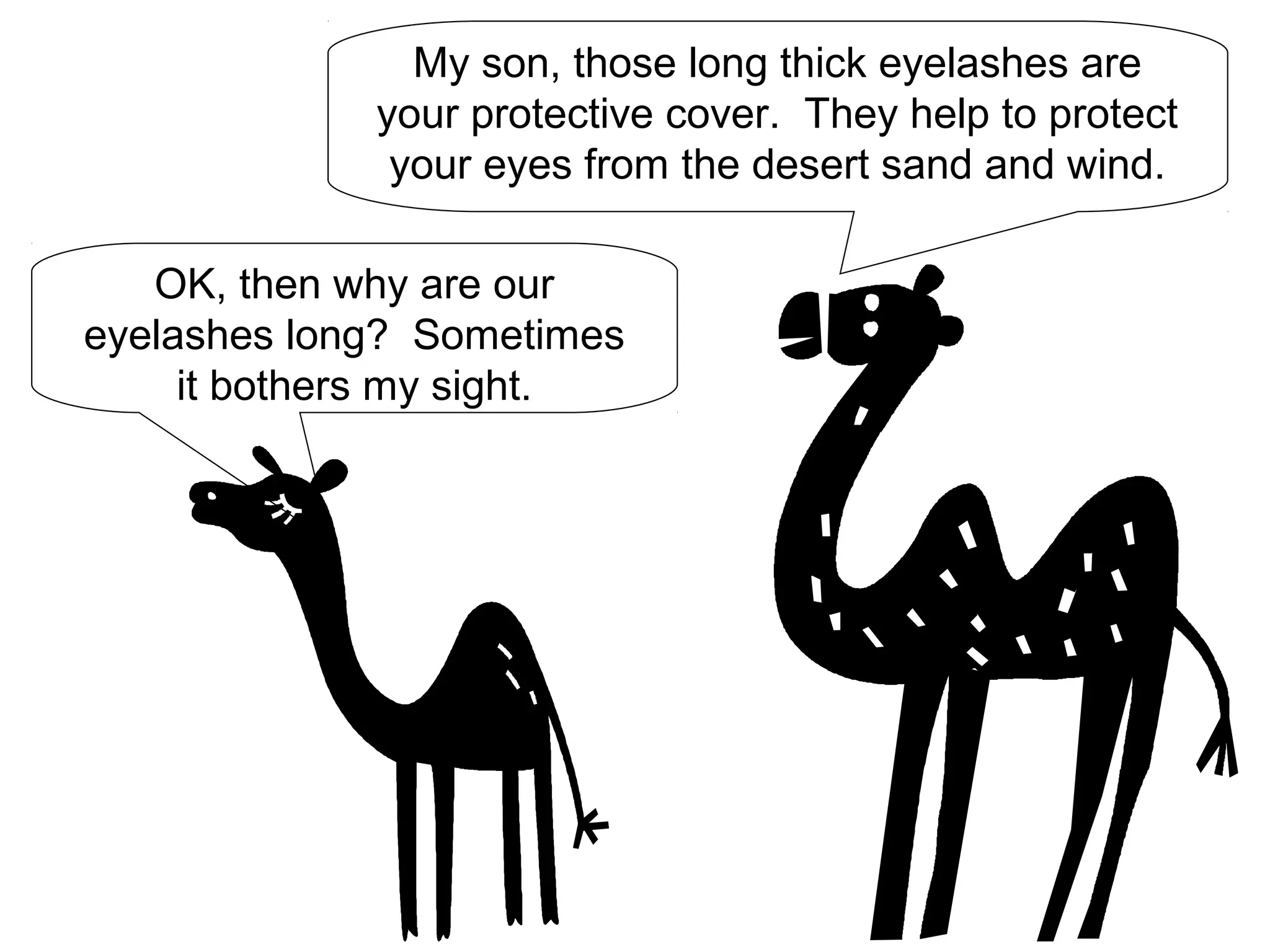 OK, then why are our
eyelashes long? Sometimes
it bothers my sight.
My son, those long thick eyelashes are
your protective cover. They help to protect
your eyes from the desert sand and wind.
 