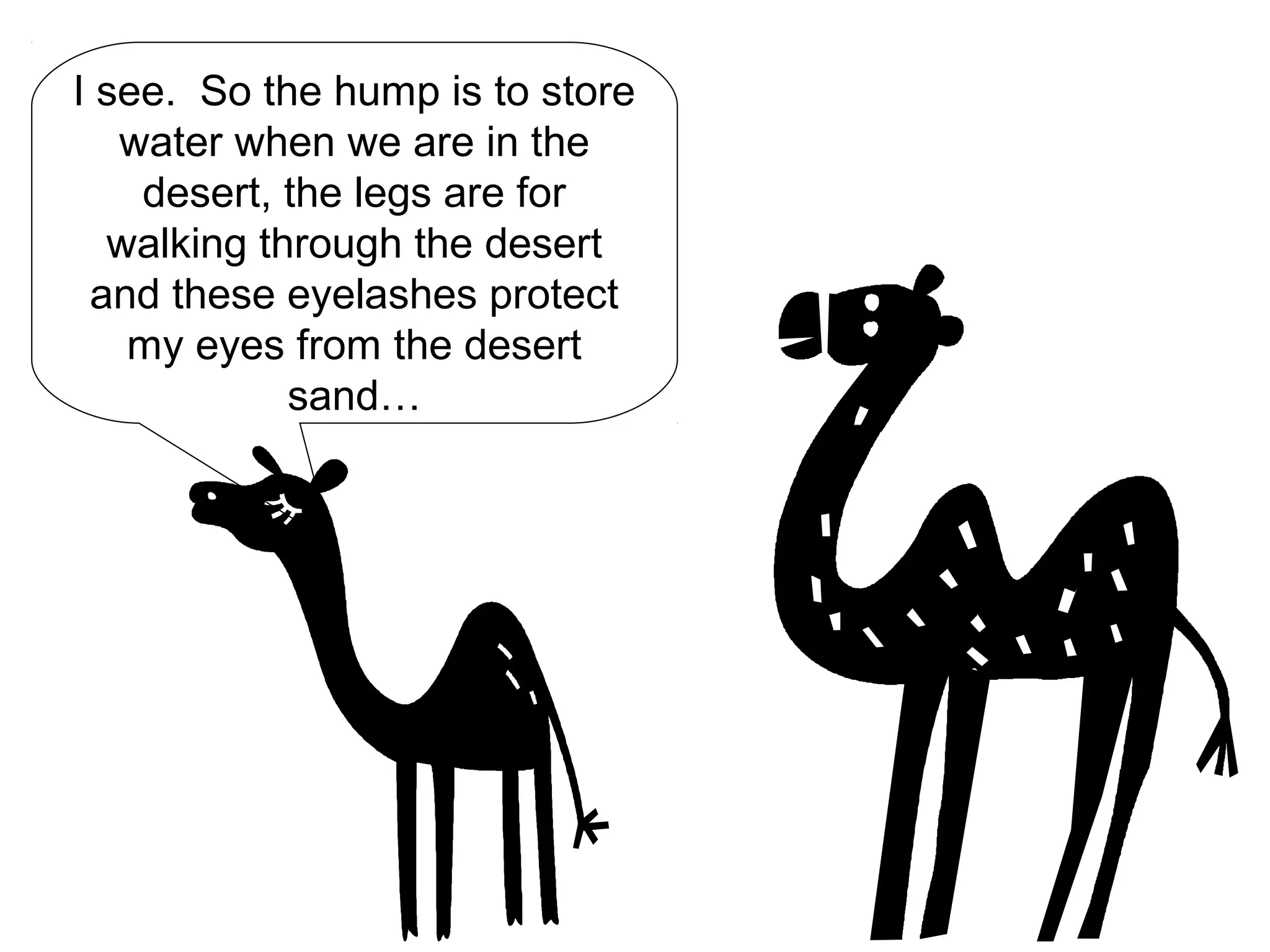 I see. So the hump is to store
water when we are in the
desert, the legs are for
walking through the desert
and these eyelashes protect
my eyes from the desert
sand…
 