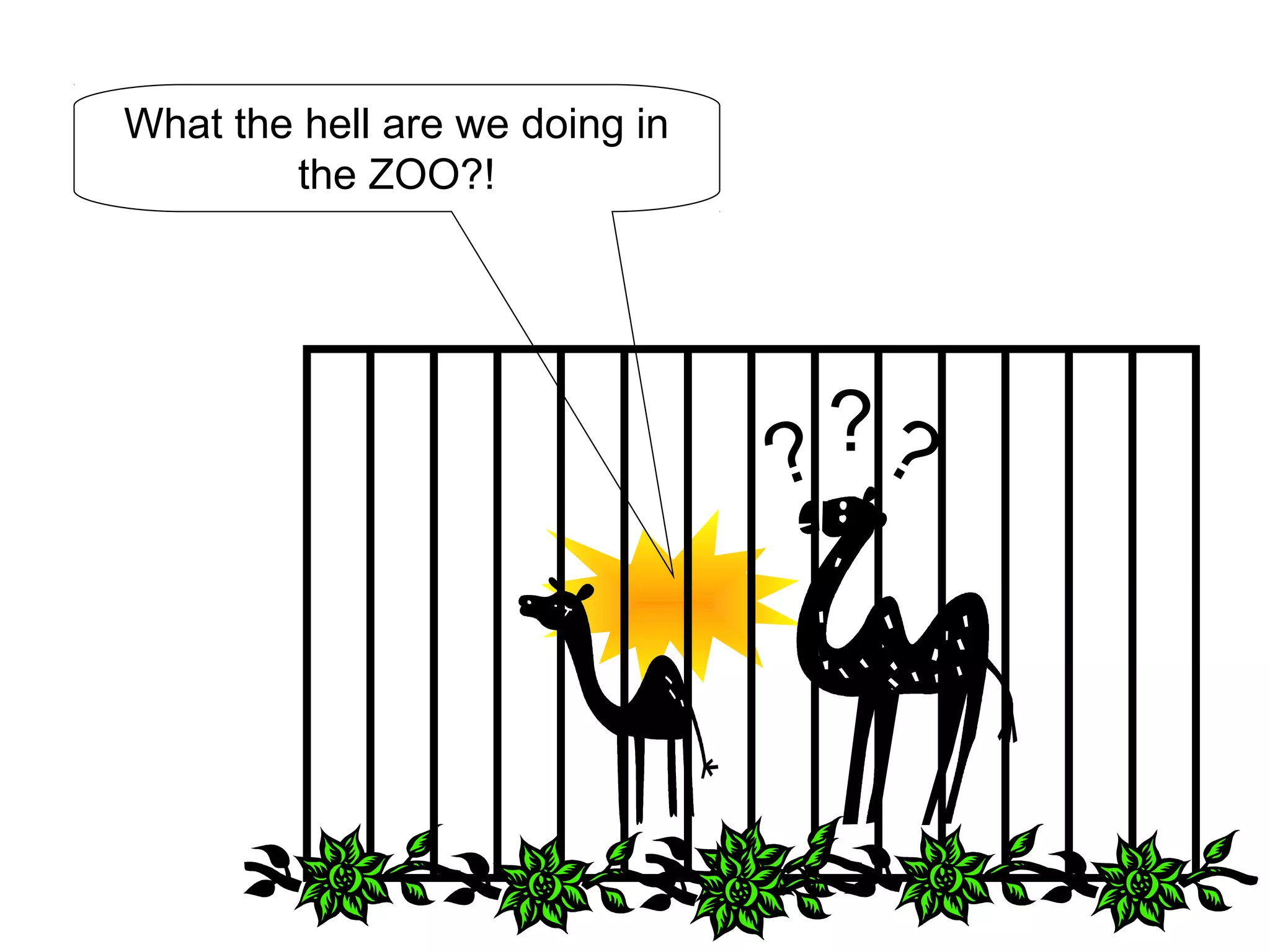What the hell are we doing in
the ZOO?!
???
 