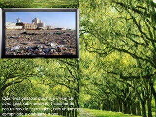 Quero as pessoas que hoje vivem em condições sub-humanas, trabalhando nas usinas de reciclagem, com uniforme apropriado e ambiente digno. 