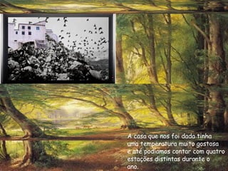 A casa que nos foi dada tinha  uma temperatura muito gostosa e até podíamos contar com quatro estações distintas durante o ano. 