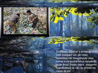 Podíamos esperar a primavera com bosques cor-de-rosa,  amendoeiras inaugurando suas cores e os passarinhos entoando suas árias tradicionais, enquanto buscávamos no céu os primeiros  raios de sol.  