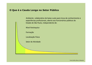 A Cauda Longa e o Setor Público