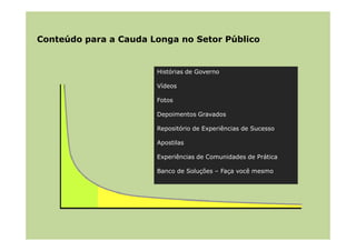 A Cauda Longa e o Setor Público