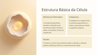 Estrutura Básica da Célula
Membrana Plasmática
A membrana plasmática,
também conhecida como
membrana celular, envolve a
célula, controlando o fluxo de
substâncias.
Citoplasma
O citoplasma é o espaço entre
a membrana plasmática e o
núcleo, preenchido por fluido
e organelos celulares.
Núcleo
O núcleo é o centro de controle da célula, contendo o material
genético (DNA) que define as características da célula.
 