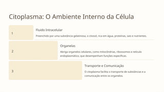 Citoplasma: O Ambiente Interno da Célula
1
Fluido Intracelular
Preenchido por uma substância gelatinosa, o citosol, rica em água, proteínas, sais e nutrientes.
2
Organelas
Abriga organelos celulares, como mitocôndrias, ribossomos e retículo
endoplasmático, que desempenham funções específicas.
3
Transporte e Comunicação
O citoplasma facilita o transporte de substâncias e a
comunicação entre os organelos.
 