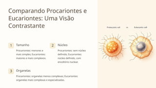 Comparando Procariontes e
Eucariontes: Uma Visão
Contrastante
1 Tamanho
Procariontes: menores e
mais simples; Eucariontes:
maiores e mais complexos.
2 Núcleo
Procariontes: sem núcleo
definido; Eucariontes:
núcleo definido, com
envoltório nuclear.
3 Organelas
Procariontes: organelas menos complexas; Eucariontes:
organelas mais complexas e especializadas.
 