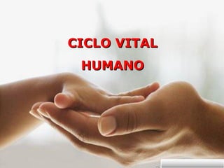 CICLO VITAL
 HUMANO
 