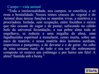 Campo = vida animal “ Toda a intelectualidade, nos campos, se esteriliza, e só resta a bestialidade. Nesses reinos crassos do vegetal e do Animal duas únicas funções se mantêm vivas, a nutritiva e a procriadora. Isolada, sem ocupação, entre focinhos e raízes que não cessam de sugar e de pastar, sufocando no cálido bafo da universal fecundação, a sua pobre alma toda se engelhava, se reduzia a uma migalha de alma, uma fagulhazinha espiritual a tremeluzir, como morta, sobre um naco de matéria; e nessa matéria dois instintos surdiam, imperiosos e pungentes, o de devorar e o de gerar. Ao cabo de uma semana rural, de todo o seu ser tão nobremente composto só restava um estômago e por baixo um falo! A alma? Sumida sob a besta.”   