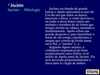 Jacinto era dotado de grande beleza e Apolo apaixonou-se por ele. Um dia em que todos os deuses lançaram o disco, o vento desviou-o, ou então o disco bateu contra um rochedo e ressaltou de tal forma que atingiu Jacinto na cabeça, matando-o imediatamente. Apolo sofreu um grande desgosto e, para imortalizar o nome de seu amigo, transformou o sangue que correra da ferida numa nova flor, o “jacinto” (...)  Segundo alguns autores, o verdadeiro responsável do triste acontecimento seria Zéfiro, rival infeliz de Apolo junto de Jacinto. Ele teria desviado propositadamente o disco para se vingar de ambos. Jacinto   Jacinto – Mitologia  