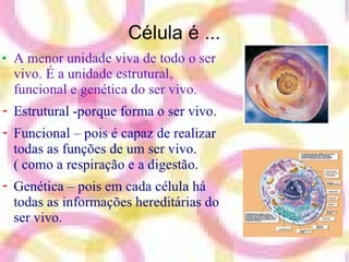 A Célula