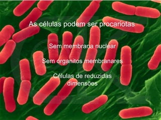 As células podem ser procariotas Sem membrana nuclear Sem organitos membranares Células de reduzidas dimensões 
