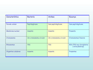 Presentes Ausente Ausente Organitos celulares 80S (70S nos cloroplastos e mitocôndrias) 70S 70S Ribossomas Cromossomas lineares Um cromossoma circular Um cromossoma circular Cromossoma Presente Ausente Ausente Membrana nuclear Sem peptidoglicano Sem peptidoglicano Peptidoglicano Parede celular Eucarya Archea Bacteria Característica 