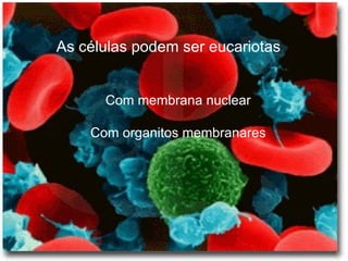 As células podem ser eucariotas Com membrana nuclear Com organitos membranares 