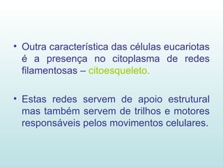 Outra característica das células eucariotas é a presença no citoplasma de redes filamentosas –  citoesqueleto. Estas redes servem de apoio estrutural mas também servem de trilhos e motores responsáveis pelos movimentos celulares. 
