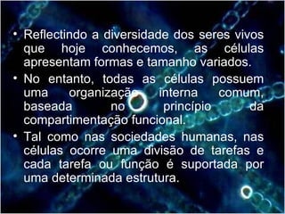 Reflectindo a diversidade dos seres vivos que hoje conhecemos, as células apresentam formas e tamanho variados. No entanto, todas as células possuem uma organização interna comum, baseada no princípio da compartimentação funcional. Tal como nas sociedades humanas, nas células ocorre uma divisão de tarefas e cada tarefa ou função é suportada por uma determinada estrutura. 