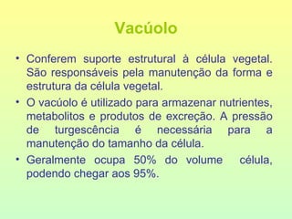 Vacúolo Conferem suporte estrutural à célula vegetal. São responsáveis pela manutenção da forma e estrutura da célula vegetal. O vacúolo é utilizado para armazenar nutrientes, metabolitos e produtos de excreção. A pressão de turgescência é necessária para a manutenção do tamanho da célula.  Geralmente ocupa 50% do volume  célula, podendo chegar aos 95%. 