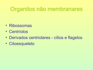 Organitos não membranares Ribossomas Centríolos Derivados centriolares - cílios e flagelos Citoesqueleto 
