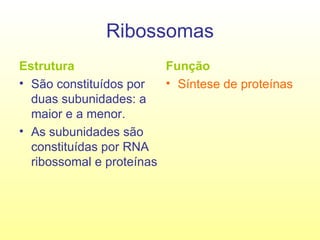 Ribossomas Estrutura São constituídos por duas subunidades: a maior e a menor. As subunidades são constituídas por RNA ribossomal e proteínas Função Síntese de proteínas 