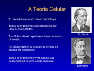 A Teoria Celular A Teoria Celular é um marco na Biologia. Todos os organismos são compostos por uma ou mais células. As células são os organismos vivos de menor dimensão. As células geram-se através da divisão de células pré-existentes. Todos os organismos vivos actuais são descendentes de uma célula ancestral. Schleiden Schwann 