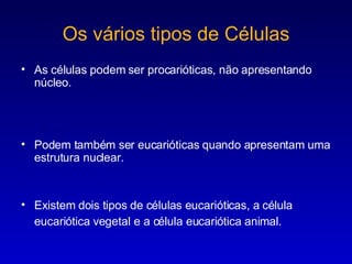 Os vários tipos de Células As células podem ser procarióticas, não apresentando núcleo. Podem também ser eucarióticas quando apresentam uma estrutura nuclear. Existem dois tipos de células eucarióticas, a célula eucariótica vegetal e a célula eucariótica animal.   