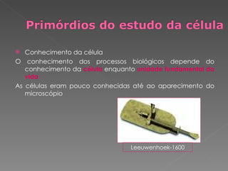 Conhecimento da célula O conhecimento dos processos biológicos depende do conhecimento da  célula  enquanto  unidade fundamental da vida As células eram pouco conhecidas até ao aparecimento do microscópio Leeuwenhoek-1600 