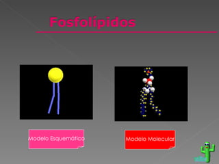 Modelo Esquemático Modelo Molecular voltar 