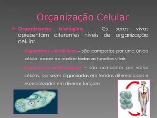 Organização biológica  – Os seres vivos apresentam diferentes níveis de organização celular. Organismos unicelulares  – são compostos por uma única célula, capaz de realizar todas as funções vitais Organismos multicelulares  – são compostos por várias células, por vezes organizadas em tecidos diferenciados e especializadas em diversas funções 