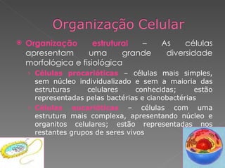 Organização estrutural  – As células apresentam uma grande diversidade morfológica e fisiológica Células procarióticas  – células mais simples, sem núcleo individualizado e sem a maioria das estruturas celulares conhecidas; estão representadas pelas bactérias e cianobactérias Células eucarióticas  – células com uma estrutura mais complexa, apresentando núcleo e organitos celulares; estão representadas nos restantes grupos de seres vivos 