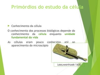 Primórdios do estudo da célula
 Conhecimento da célula
O conhecimento dos processos biológicos depende do
conhecimento da célula enquanto unidade
fundamental da vida
As células eram pouco conhecidas até ao
aparecimento do microscópio
Leeuwenhoek-1600
 