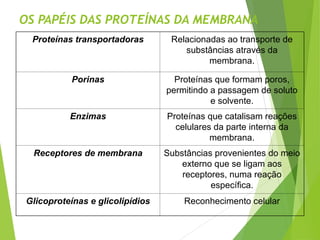 OS PAPÉIS DAS PROTEÍNAS DA MEMBRANA
Proteínas transportadoras Relacionadas ao transporte de
substâncias através da
membrana.
Porinas Proteínas que formam poros,
permitindo a passagem de soluto
e solvente.
Enzimas Proteínas que catalisam reações
celulares da parte interna da
membrana.
Receptores de membrana Substâncias provenientes do meio
externo que se ligam aos
receptores, numa reação
específica.
Glicoproteínas e glicolipídios Reconhecimento celular
 