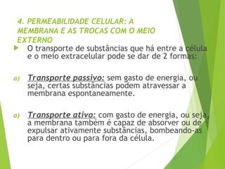 4. PERMEABILIDADE CELULAR: A
MEMBRANA E AS TROCAS COM O MEIO
EXTERNO
 O transporte de substâncias que há entre a célula
e o meio extracelular pode se dar de 2 formas:
a) Transporte passivo: sem gasto de energia, ou
seja, certas substâncias podem atravessar a
membrana espontaneamente.
a) Transporte ativo: com gasto de energia, ou seja,
a membrana também é capaz de absorver ou de
expulsar ativamente substâncias, bombeando-as
para dentro ou para fora da célula.
 